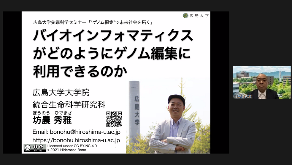 写真1