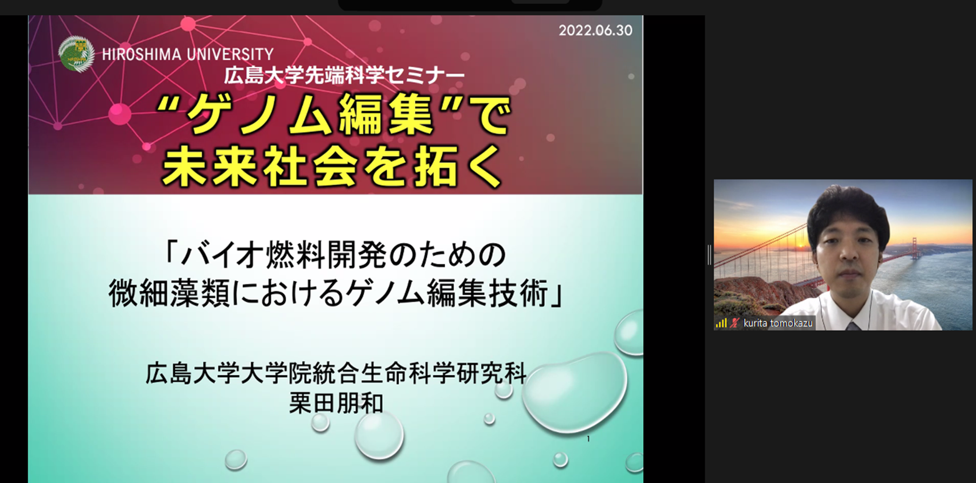 写真1
