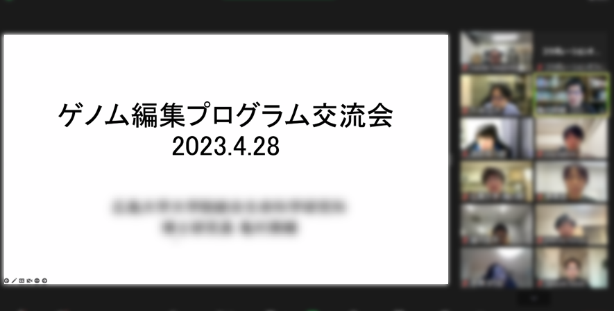 写真1