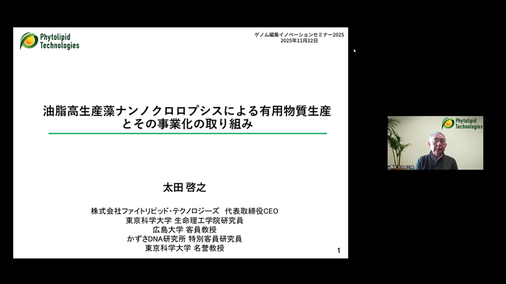 写真1