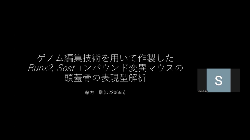 �ʐ^5