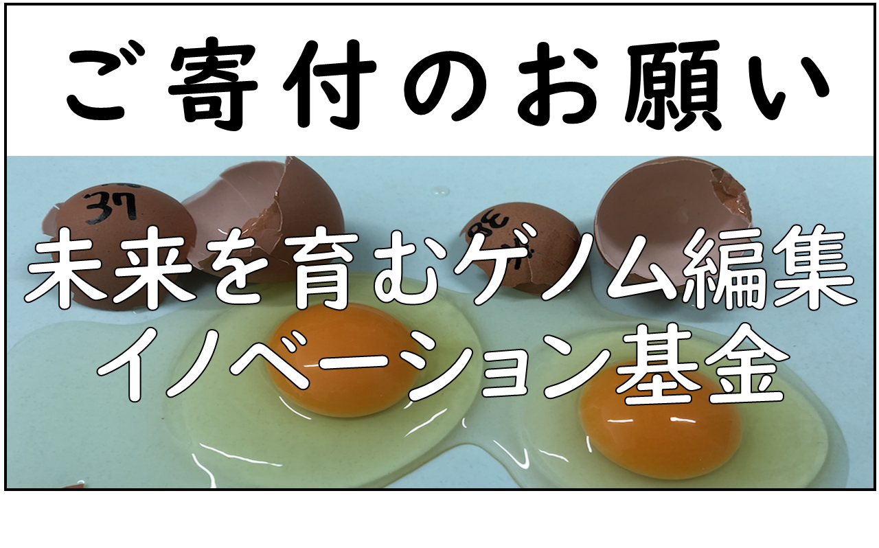 未来を育むゲノム編集イノベーション基金